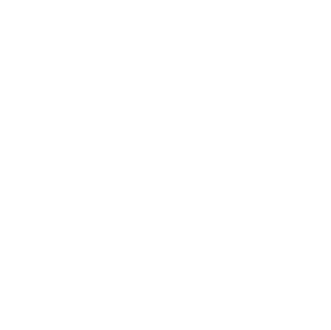 White Dragon AI Logo